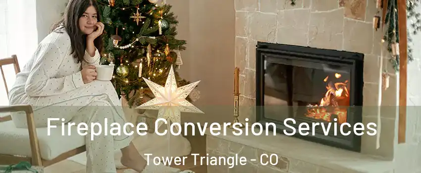 Fireplace Conversion Services Tower Triangle - CO