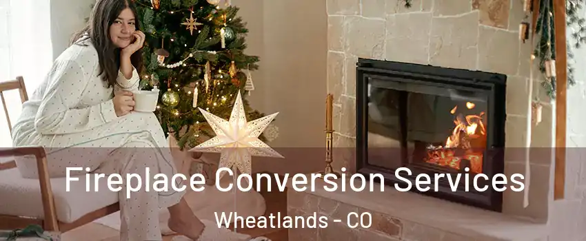 Fireplace Conversion Services Wheatlands - CO