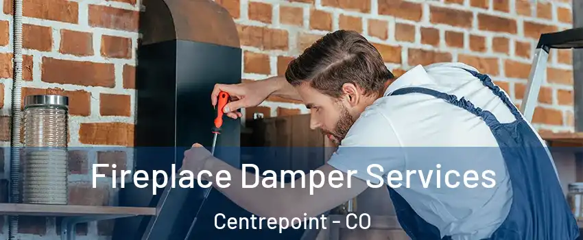 Fireplace Damper Services Centrepoint - CO