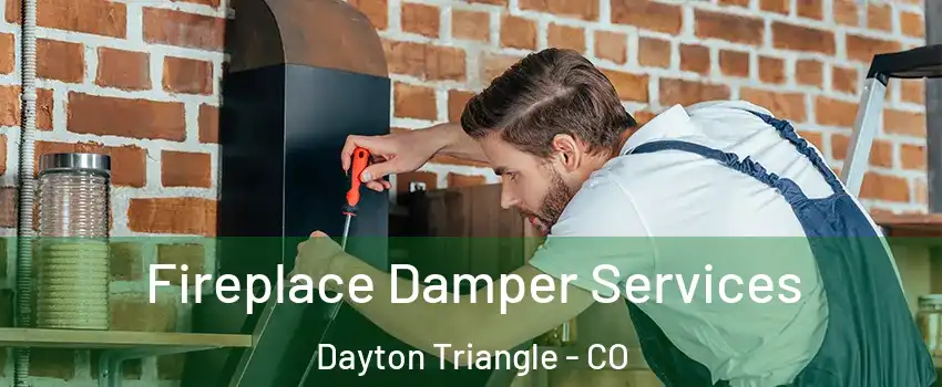 Fireplace Damper Services Dayton Triangle - CO