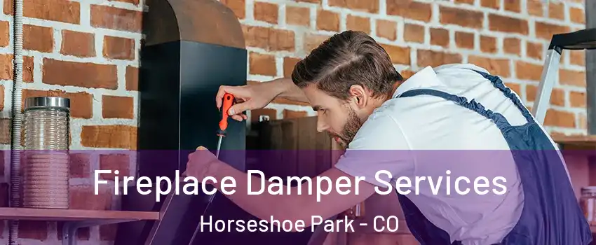 Fireplace Damper Services Horseshoe Park - CO