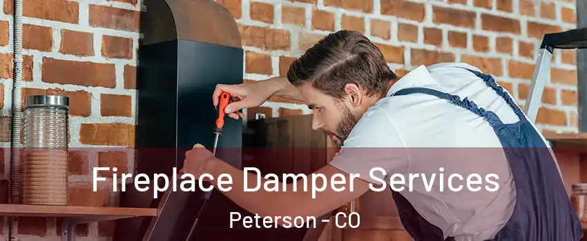 Fireplace Damper Services Peterson - CO