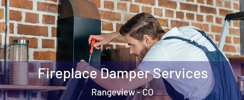 Fireplace Damper Services Rangeview - CO