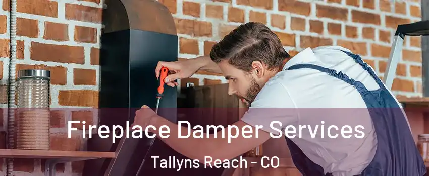 Fireplace Damper Services Tallyns Reach - CO
