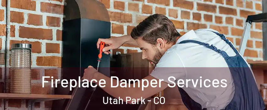 Fireplace Damper Services Utah Park - CO