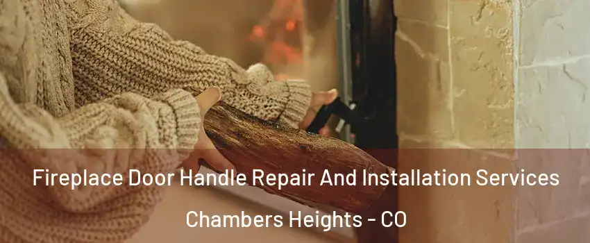 Fireplace Door Handle Repair And Installation Services Chambers Heights - CO