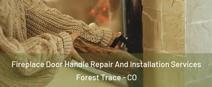Fireplace Door Handle Repair And Installation Services Forest Trace - CO