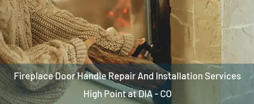 Fireplace Door Handle Repair And Installation Services High Point at DIA - CO