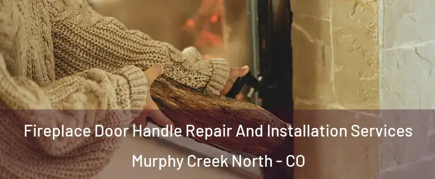 Fireplace Door Handle Repair And Installation Services Murphy Creek North - CO