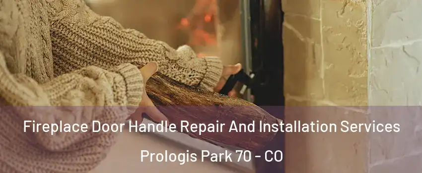 Fireplace Door Handle Repair And Installation Services Prologis Park 70 - CO