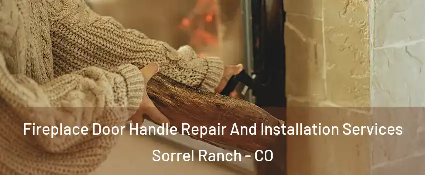 Fireplace Door Handle Repair And Installation Services Sorrel Ranch - CO