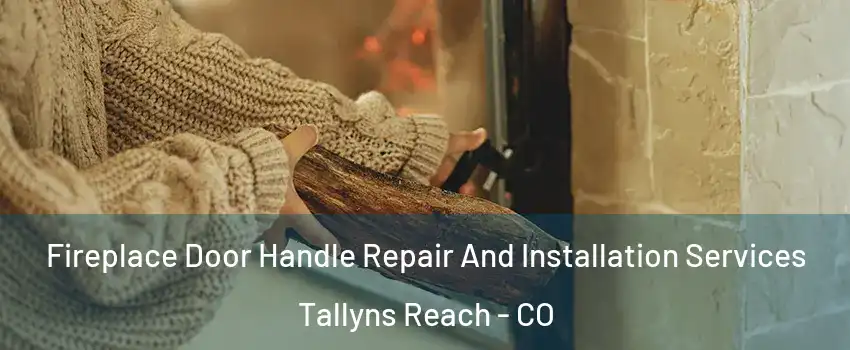 Fireplace Door Handle Repair And Installation Services Tallyns Reach - CO