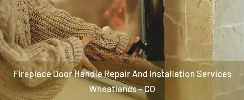 Fireplace Door Handle Repair And Installation Services Wheatlands - CO