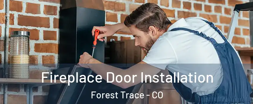 Fireplace Door Installation Forest Trace - CO