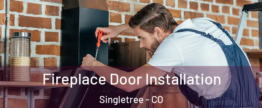 Fireplace Door Installation Singletree - CO