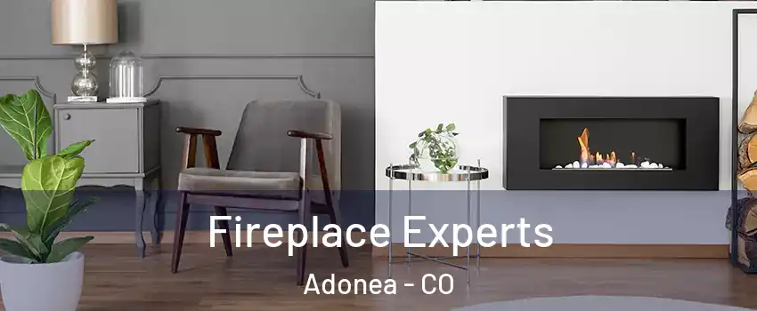 Fireplace Experts Adonea - CO