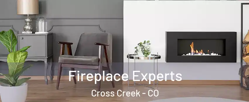 Fireplace Experts Cross Creek - CO