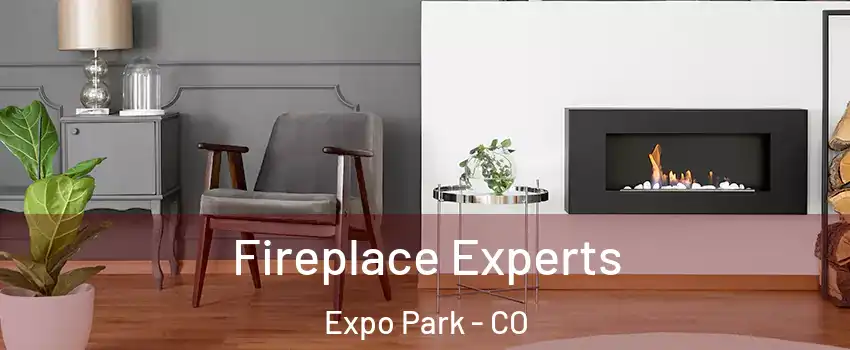 Fireplace Experts Expo Park - CO