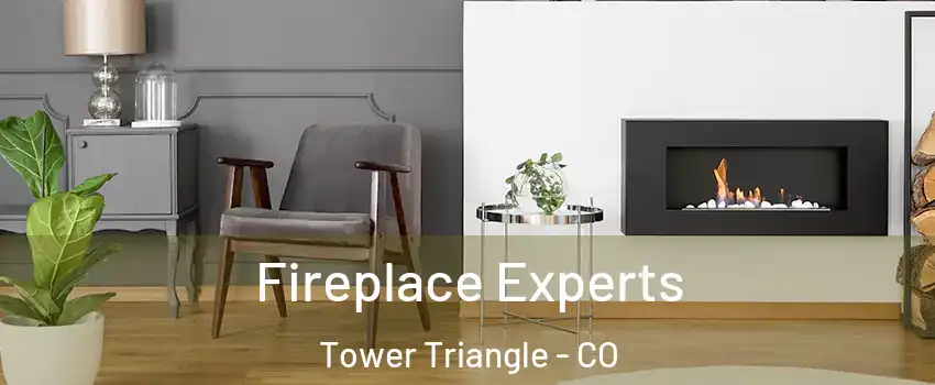 Fireplace Experts Tower Triangle - CO