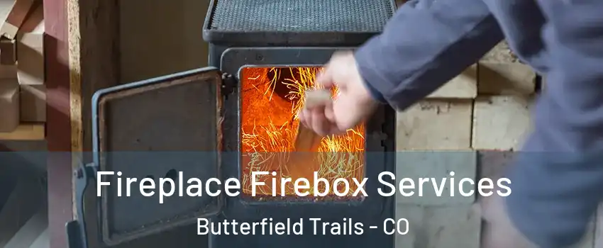 Fireplace Firebox Services Butterfield Trails - CO