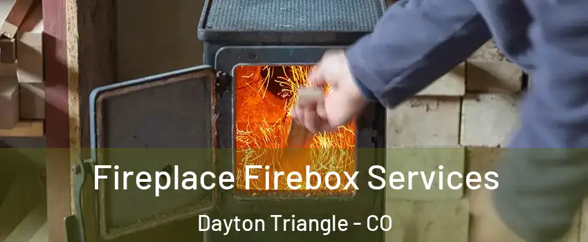 Fireplace Firebox Services Dayton Triangle - CO