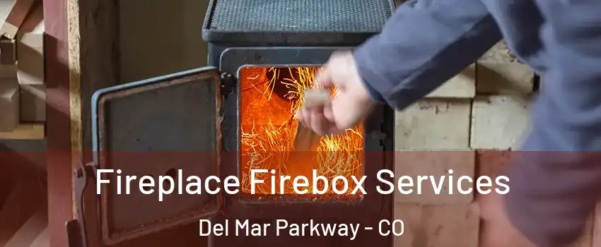 Fireplace Firebox Services Del Mar Parkway - CO