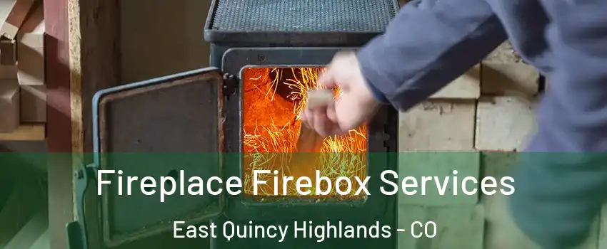 Fireplace Firebox Services East Quincy Highlands - CO
