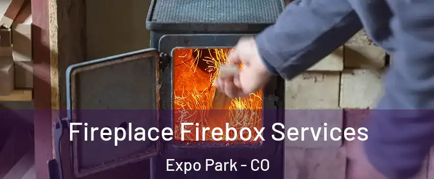 Fireplace Firebox Services Expo Park - CO