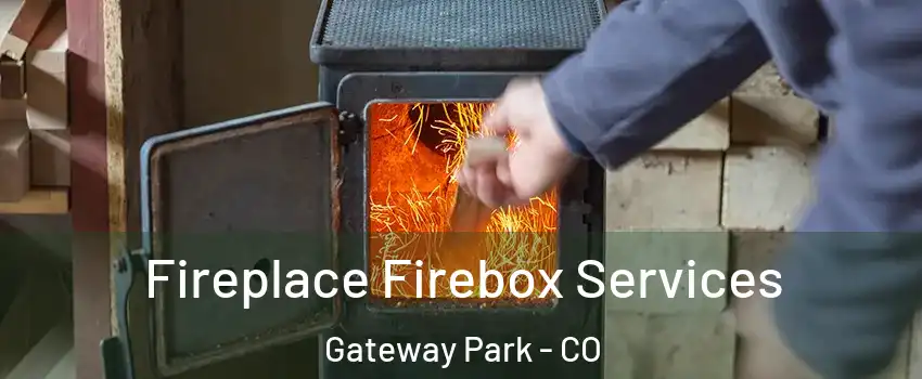 Fireplace Firebox Services Gateway Park - CO