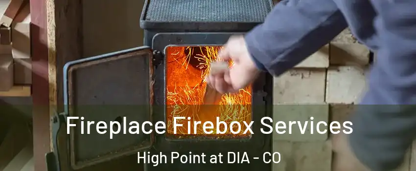 Fireplace Firebox Services High Point at DIA - CO