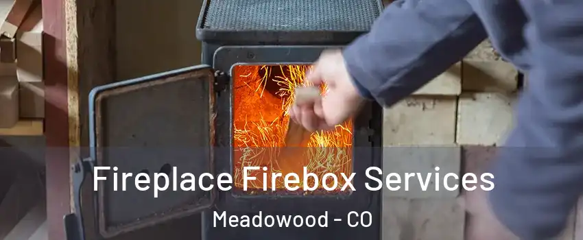 Fireplace Firebox Services Meadowood - CO