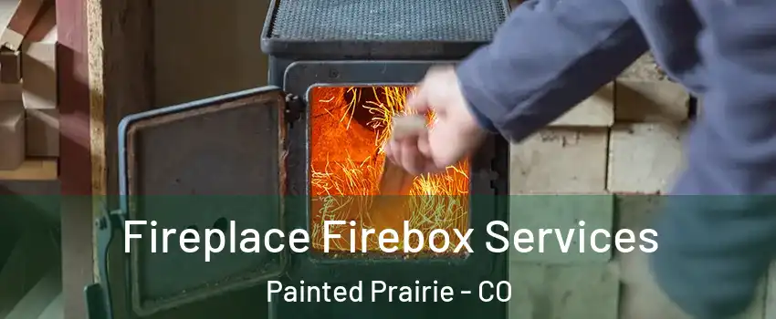 Fireplace Firebox Services Painted Prairie - CO