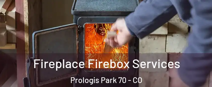 Fireplace Firebox Services Prologis Park 70 - CO