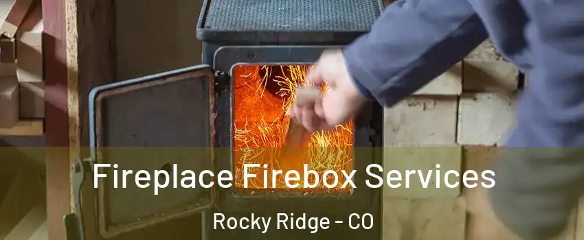 Fireplace Firebox Services Rocky Ridge - CO