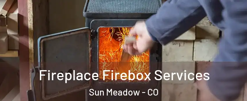 Fireplace Firebox Services Sun Meadow - CO