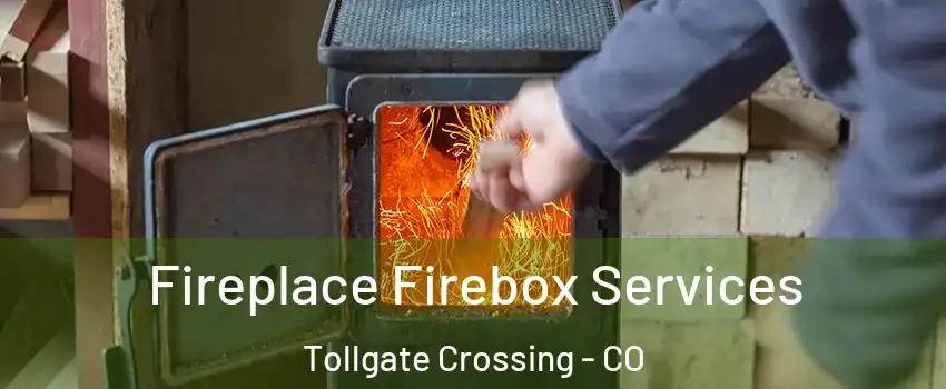 Fireplace Firebox Services Tollgate Crossing - CO