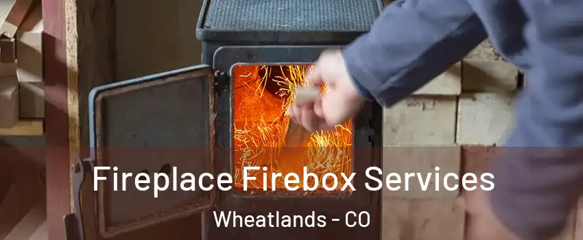 Fireplace Firebox Services Wheatlands - CO