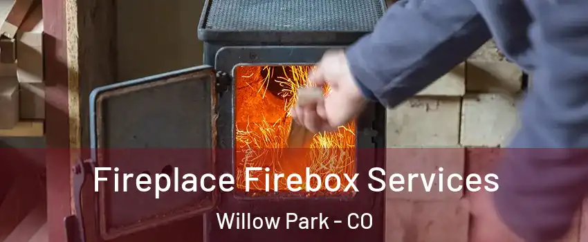 Fireplace Firebox Services Willow Park - CO