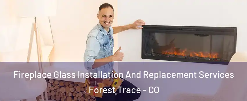Fireplace Glass Installation And Replacement Services Forest Trace - CO