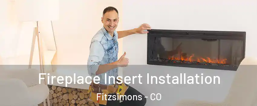 Fireplace Insert Installation Fitzsimons - CO
