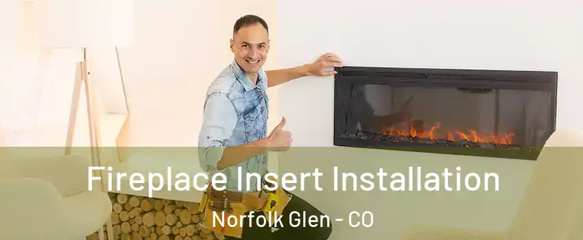 Fireplace Insert Installation Norfolk Glen - CO