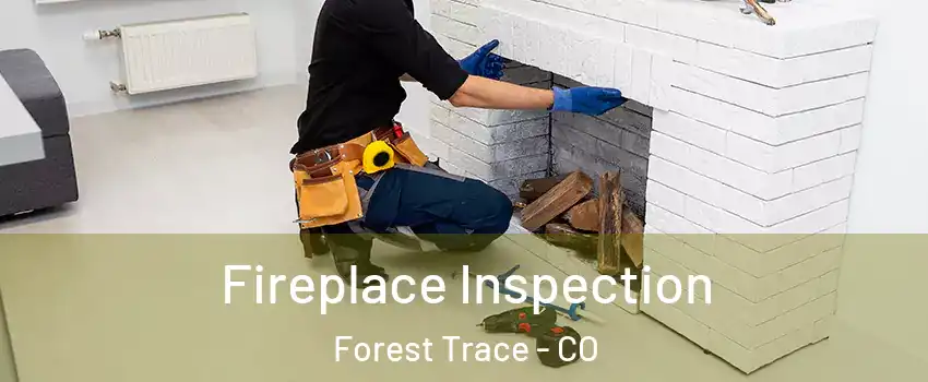 Fireplace Inspection Forest Trace - CO
