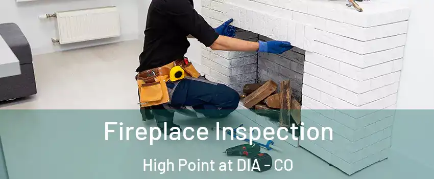 Fireplace Inspection High Point at DIA - CO