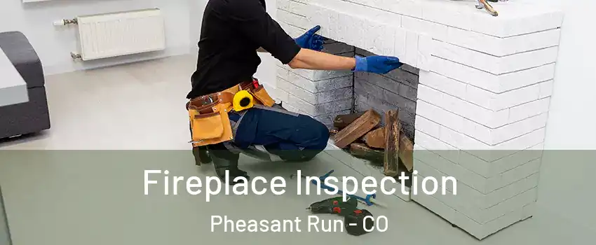 Fireplace Inspection Pheasant Run - CO
