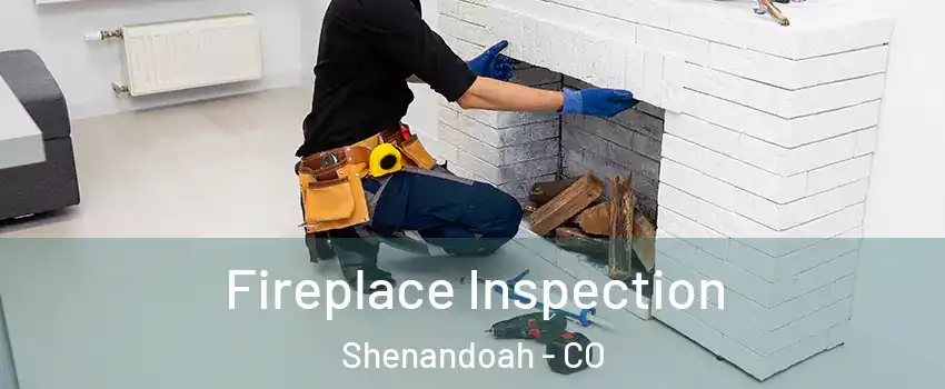Fireplace Inspection Shenandoah - CO