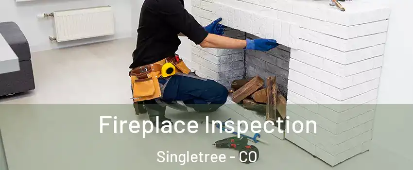 Fireplace Inspection Singletree - CO