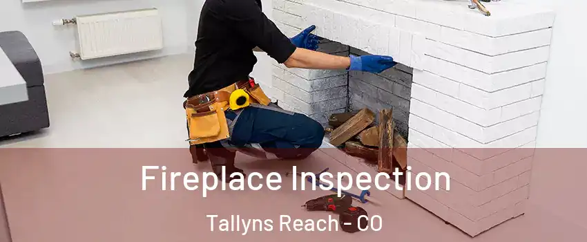Fireplace Inspection Tallyns Reach - CO