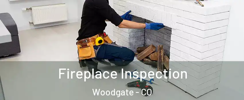 Fireplace Inspection Woodgate - CO