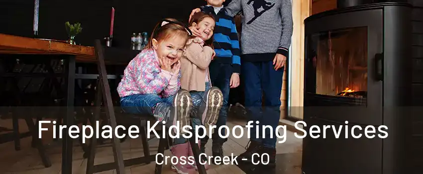 Fireplace Kidsproofing Services Cross Creek - CO