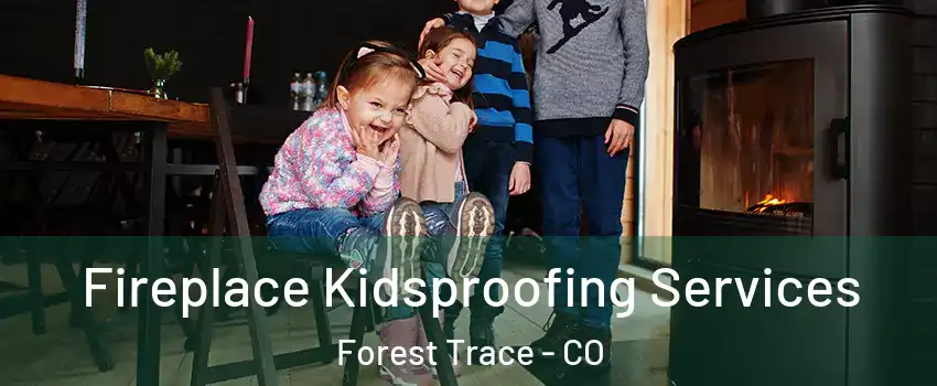 Fireplace Kidsproofing Services Forest Trace - CO